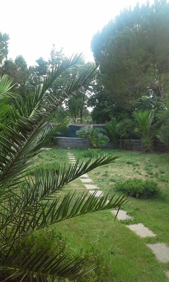 Bed and Breakfast A57 Casal Palocco Exterior foto